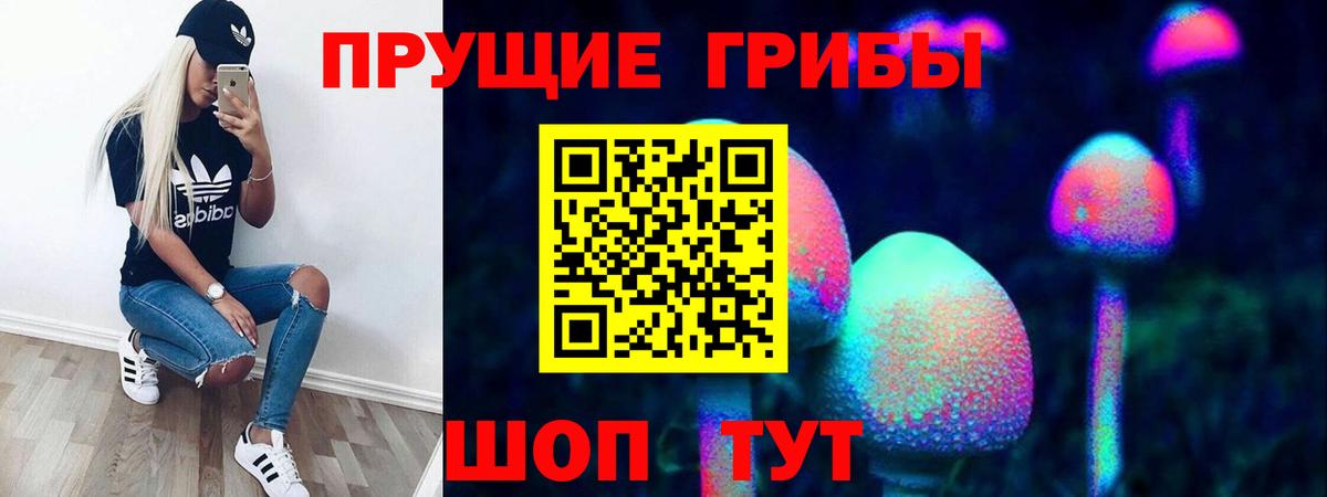 Псилоцибиновые грибы GOLDEN TEACHER  Вход с VPN  Галлюциногенные грибы ЛСД  Мичуринск 